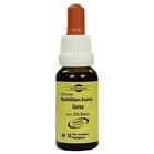 BACHBL&Uuml;TEN Murnauer Gorse Tropfen