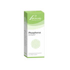 PHOSPHORUS SIMILIAPLEX