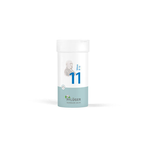BIOCHEMIE Pflüger 11 Silicea D 12 Pulver