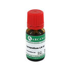 LYCOPODIUM LM 6 Dilution