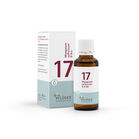 BIOCHEMIE Pfl&uuml;ger 17 Manganum sulfuricum D 6 Tro.