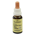 BACHBL&Uuml;TEN Murnauer White Chestnut Tropfen