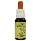 BACHBL&Uuml;TEN Murnauer Chicory Tropfen