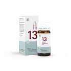 BIOCHEMIE Pfl&uuml;ger 13 Kalium arsenicosum D 6 Tabl.