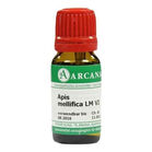 APIS MELLIFICA LM 6 Dilution
