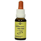 BACHBL&Uuml;TEN Murnauer Water Violet Tropfen