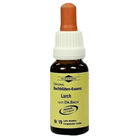 BACHBL&Uuml;TEN Murnauer Larch Tropfen