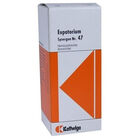 SYNERGON KOMPLEX 47 Eupatorium Tropfen