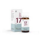 BIOCHEMIE Pfl&uuml;ger 17 Manganum sulfuricum D 6 Tabl.