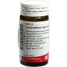 TENDO/ALLIUM cepa comp.Globuli