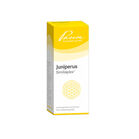 JUNIPERUS SIMILIAPLEX Mischung