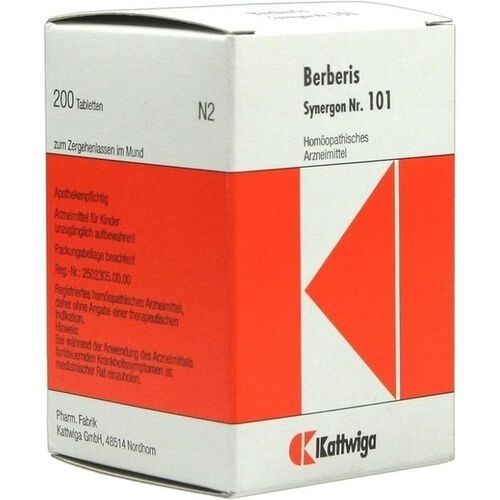 SYNERGON KOMPLEX 101 Berberis Tabletten