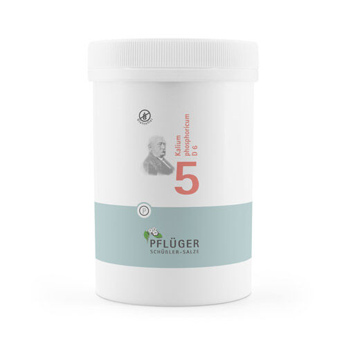 BIOCHEMIE Pflüger 5 Kalium phosphoricum D 6 Tabl.
