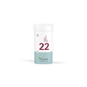 BIOCHEMIE Pflüger 22 Calcium carbonicum D 6 Tabl.