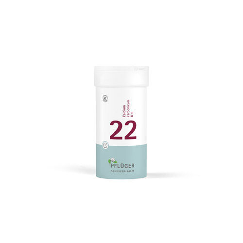 BIOCHEMIE Pflüger 22 Calcium carbonicum D 6 Tabl.