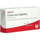 CARUM CARVI Z&auml;pfchen