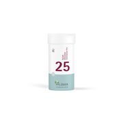 BIOCHEMIE Pflüger 25 Aurum chlorat.natron.D 6 Tab.