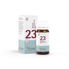 BIOCHEMIE Pfl&uuml;ger 23 Natrium bicarbonicum D 6 Tab.