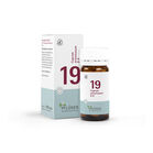 BIOCHEMIE Pfl&uuml;ger 19 Cuprum arsenicosum D 6 Tabl.