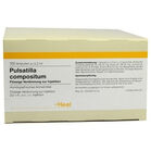 PULSATILLA COMPOSITUM Ampullen