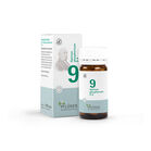 BIOCHEMIE Pfl&uuml;ger 9 Natrium phosphoricum D 6 Tabl.